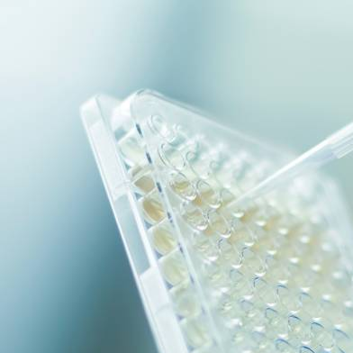 Scientist in a laboratory using a pipette to measure out a sample of clear liquid.png